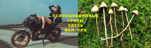 амфетамин Арсеньев