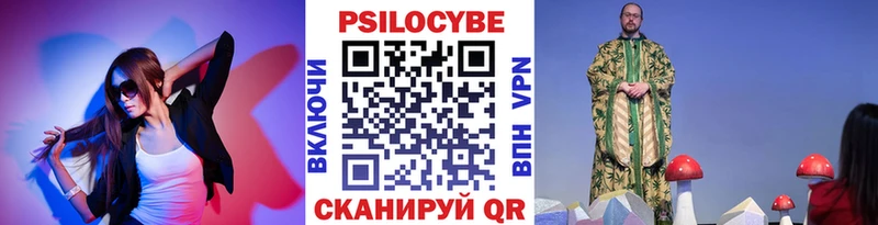 Псилоцибиновые грибы Psilocybe Протвино